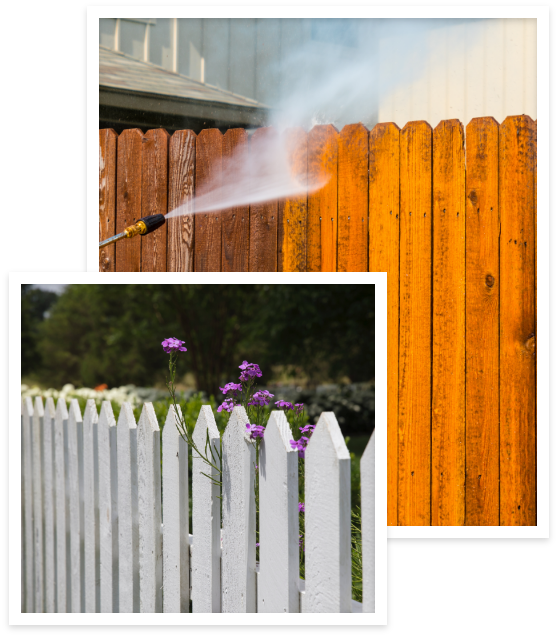 Fence Cleaning